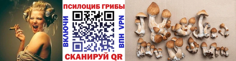 Псилоцибиновые грибы MAGIC MUSHROOMS  Дыгулыбгей 