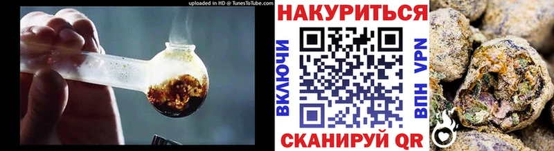 кракен   Дыгулыбгей  Канабис сатива 